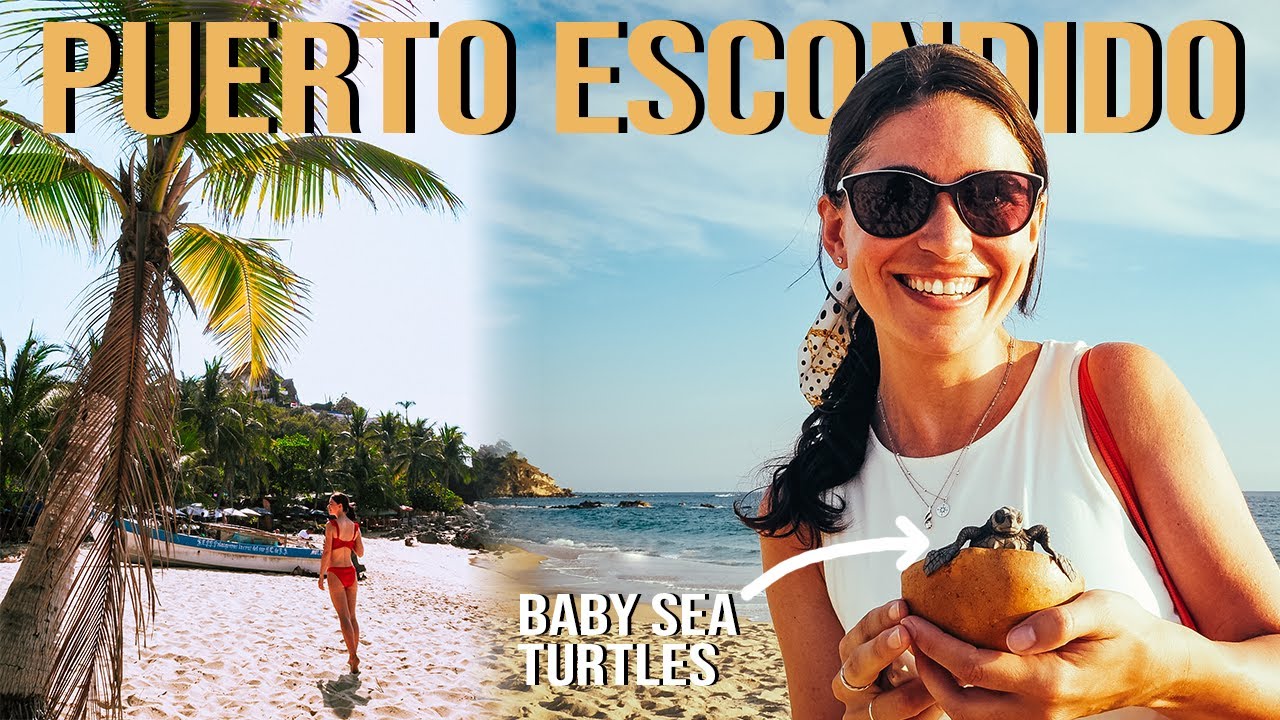 Puerto Escondido - Ultimate Travel Guide to Paradise! | Oaxaca, Mexico